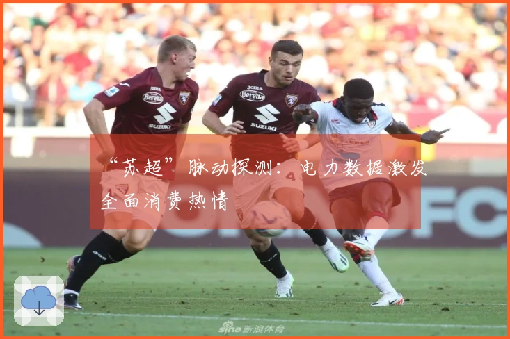 “苏超”脉动探测:电力数据激发全面消费热情