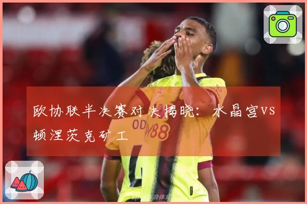欧协联半决赛对决揭晓：水晶宫vs顿涅茨克矿工